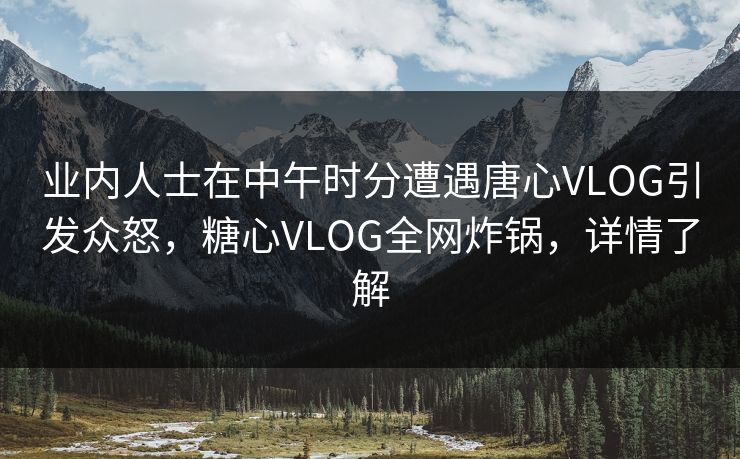 业内人士在中午时分遭遇唐心VLOG引发众怒，糖心VLOG全网炸锅，详情了解