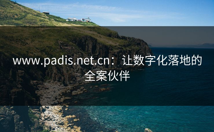 www.padis.net.cn：让数字化落地的全案伙伴  第1张