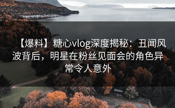 【爆料】糖心vlog深度揭秘：丑闻风波背后，明星在粉丝见面会的角色异常令人意外