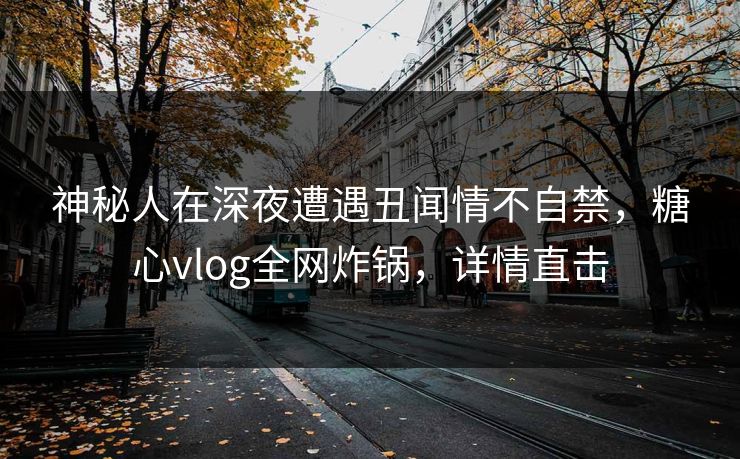 神秘人在深夜遭遇丑闻情不自禁，糖心vlog全网炸锅，详情直击