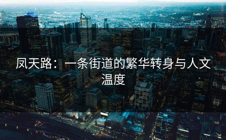 凤天路：一条街道的繁华转身与人文温度  第1张
