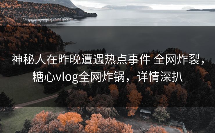 神秘人在昨晚遭遇热点事件 全网炸裂，糖心vlog全网炸锅，详情深扒  第1张