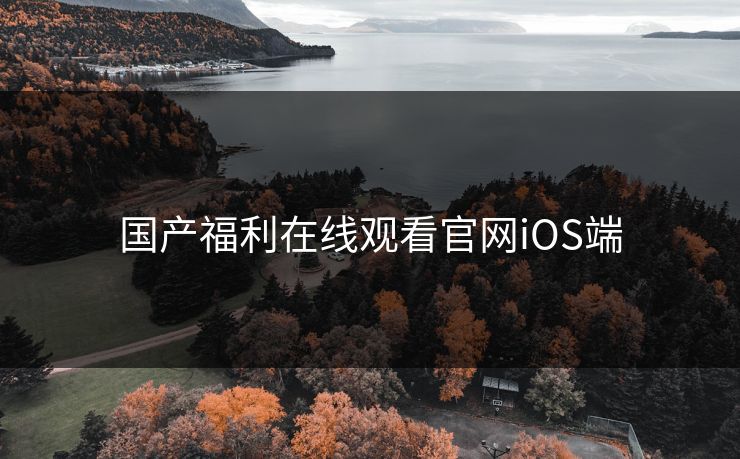 国产福利在线观看官网iOS端  第1张
